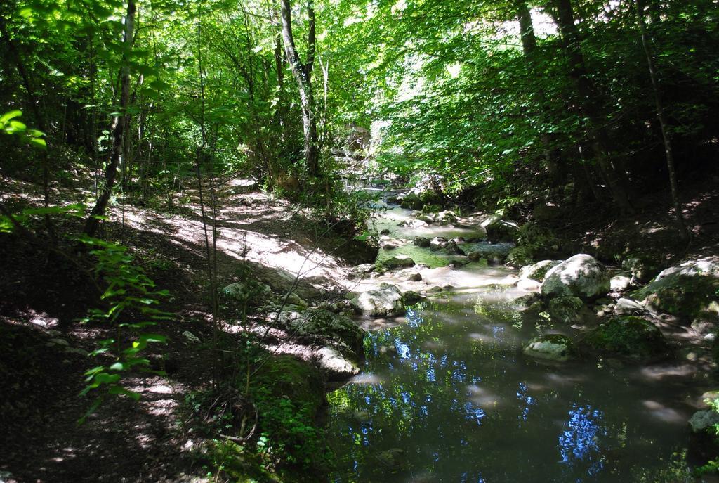 ホテル Domaine D'Angouire ムスティエ・サント・マリー エクステリア 写真